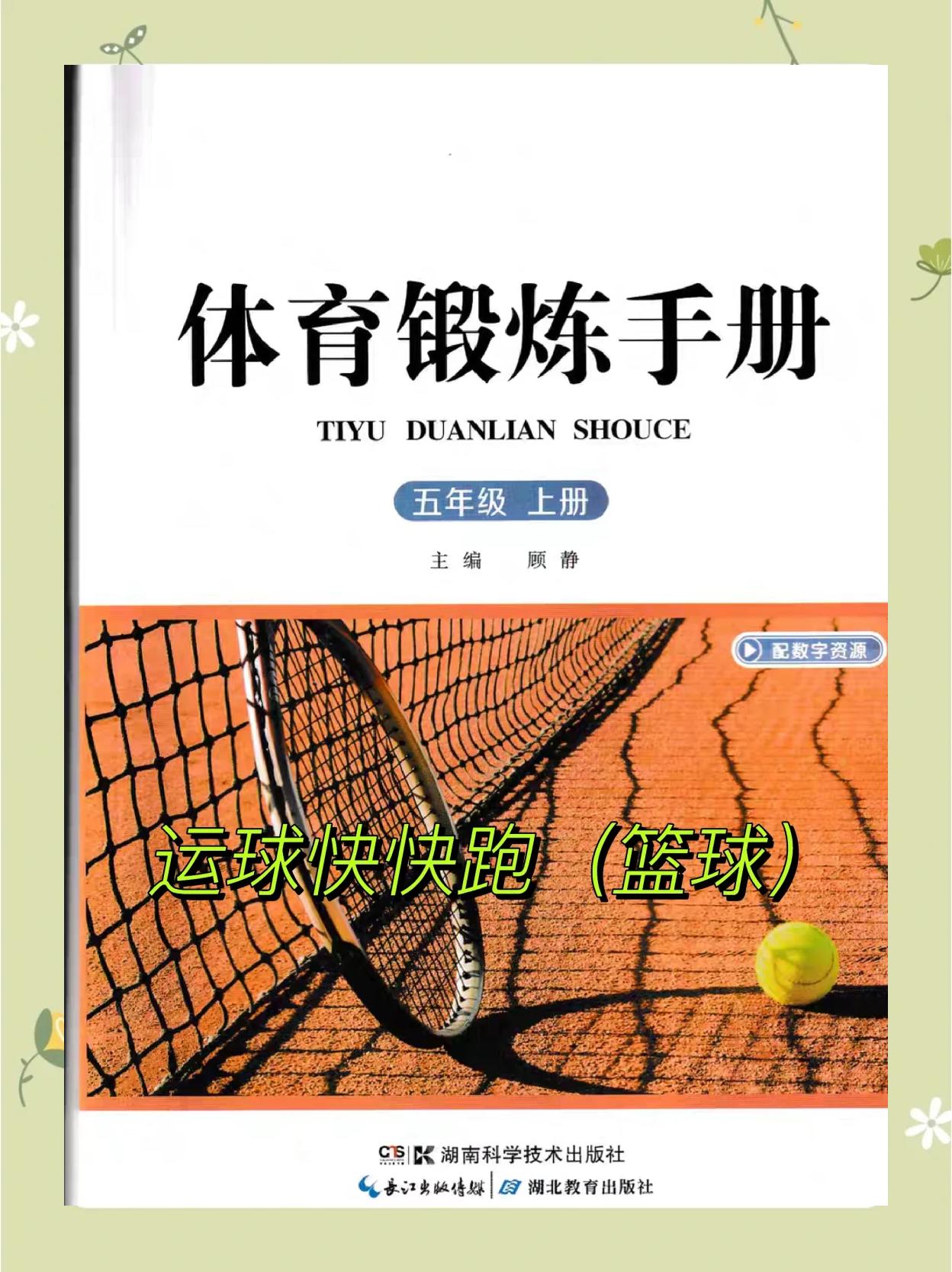 特色篮球文化进入中小学课程，普及率逐年提高的简单介绍