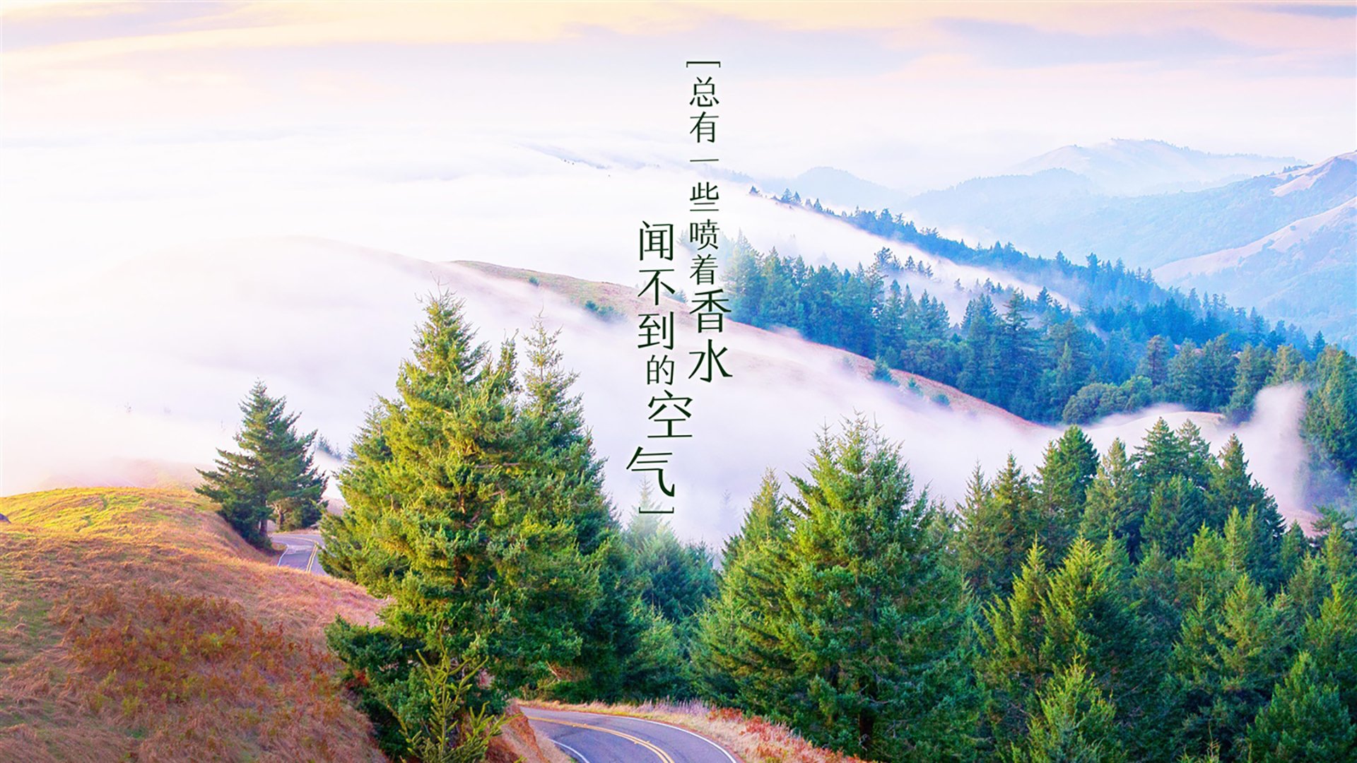英雄联盟 赛区战队积分差距缩小，英雄联盟 赛区战队积分差距缩小怎么办