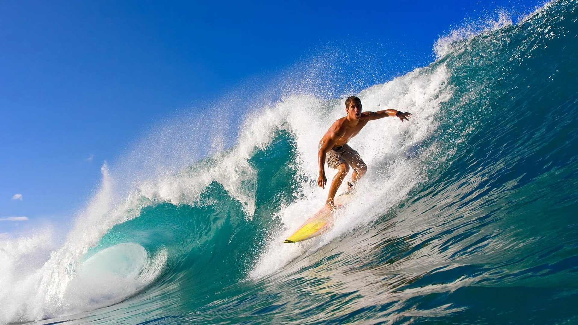 各队的“秘密武器”曝光：复盘冠军又一秘诀，秘密武器特质