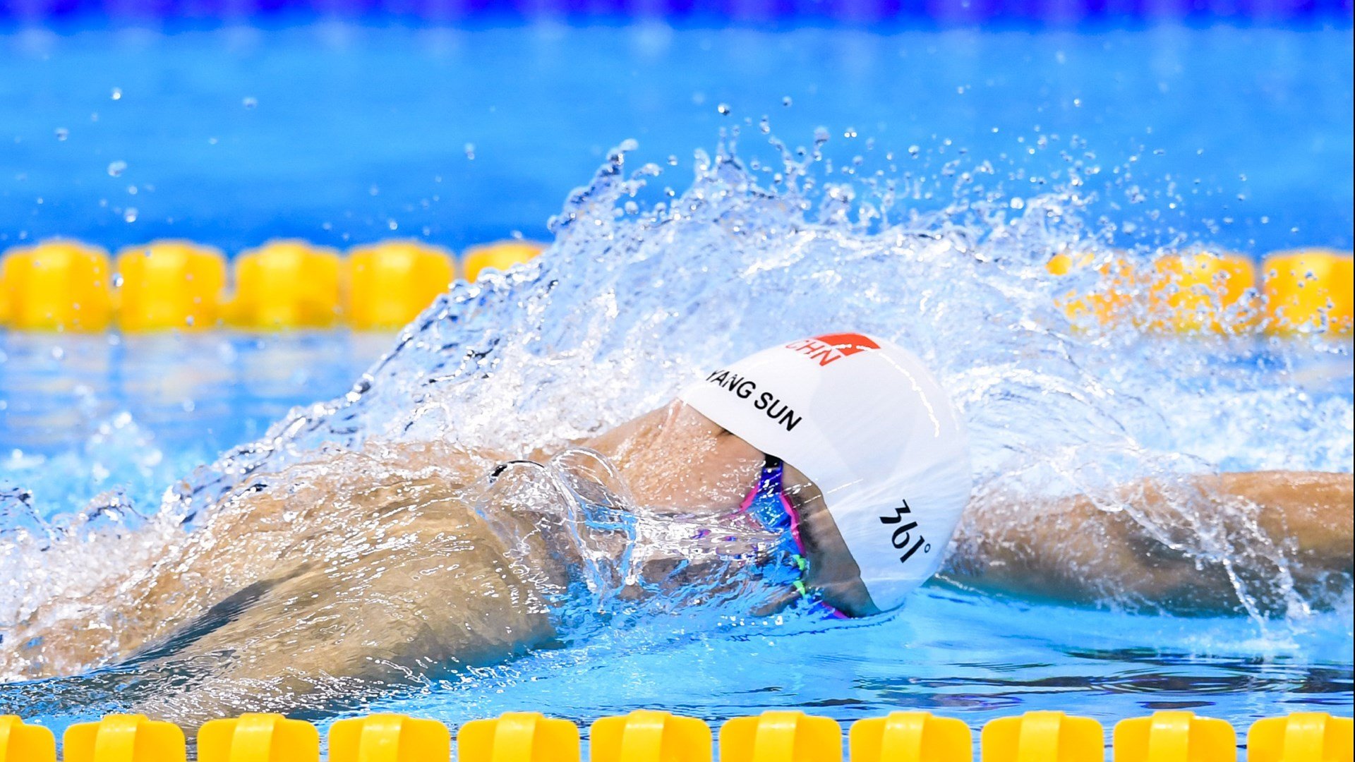 kaiyun-荷兰马术协会推出马术运动员心理辅导项目，提升竞技表现。，荷兰马拉松比赛